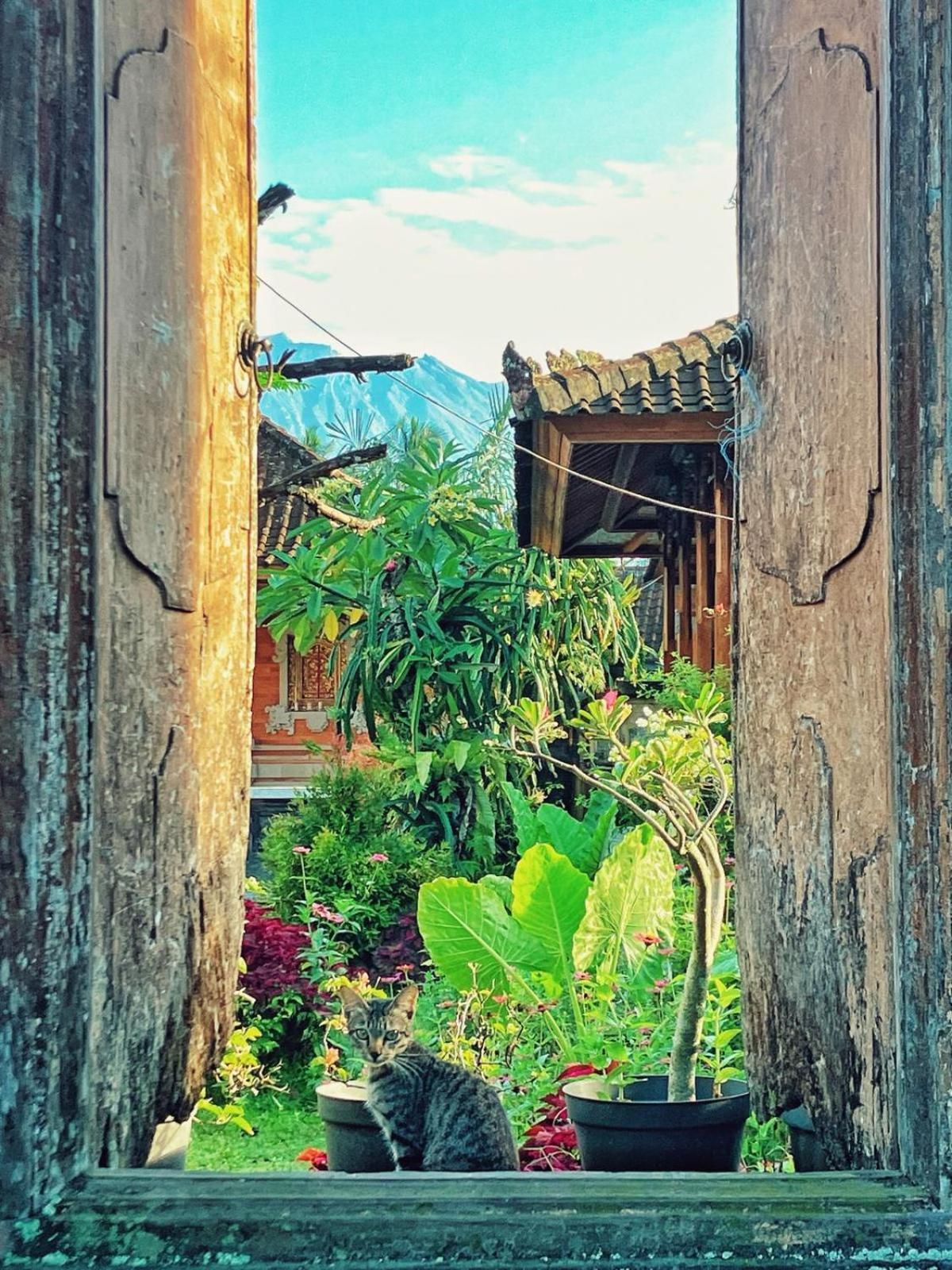 House Market Sidemen (Bali) Exterior foto